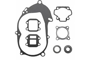 SUNQIAO PW50 Gasket Kit, Engine Gasket Kit for PW50 PY50 Peewee Y-Zinger 50 Kid Bikes