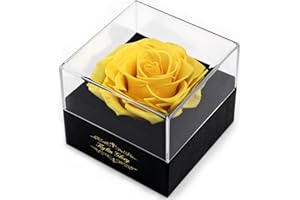Kylin Glory Fresh Cut Flower Preserved Rose for Women Mom Wife Girlfriend - Flower Gift Real Rose Decor for Mother's Day Vale