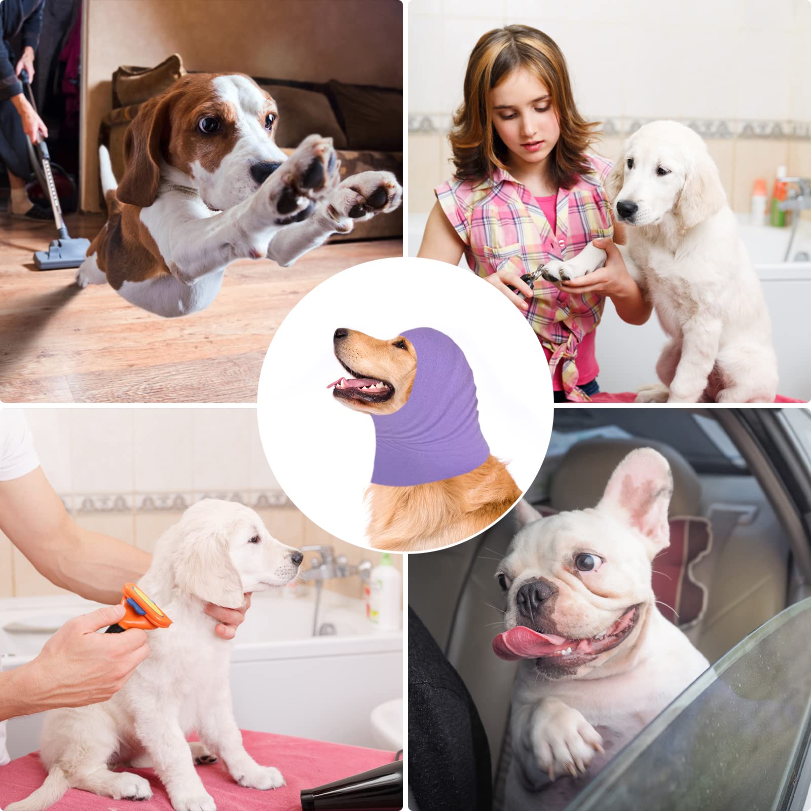 View 5