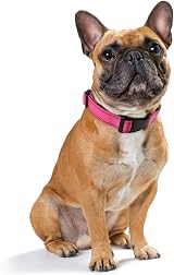 HEELE Reflective Dog Collar Soft Neoprene Padded Nylon S Rose 26-38cm view 2