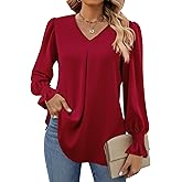 Funlingo Women's 2025 Long Sleeve Tops Dressy Casual V Neck Tunic Shirts Loose Chiffon Work Blouse