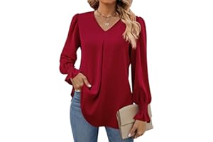 Funlingo Women's 2025 Long Sleeve Tops Dressy Casual V Neck Tunic Shirts Loose Chiffon Work Blouse