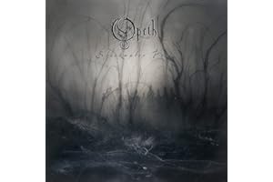 Blackwater Park (20th Anniversary Edition) (Vinyl)