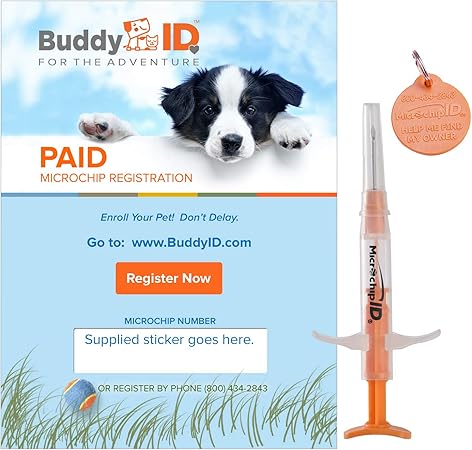 buddy id mini microchip