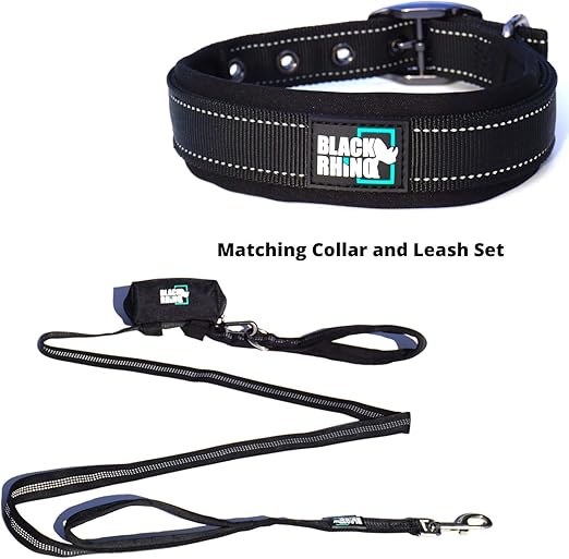 leash with collar