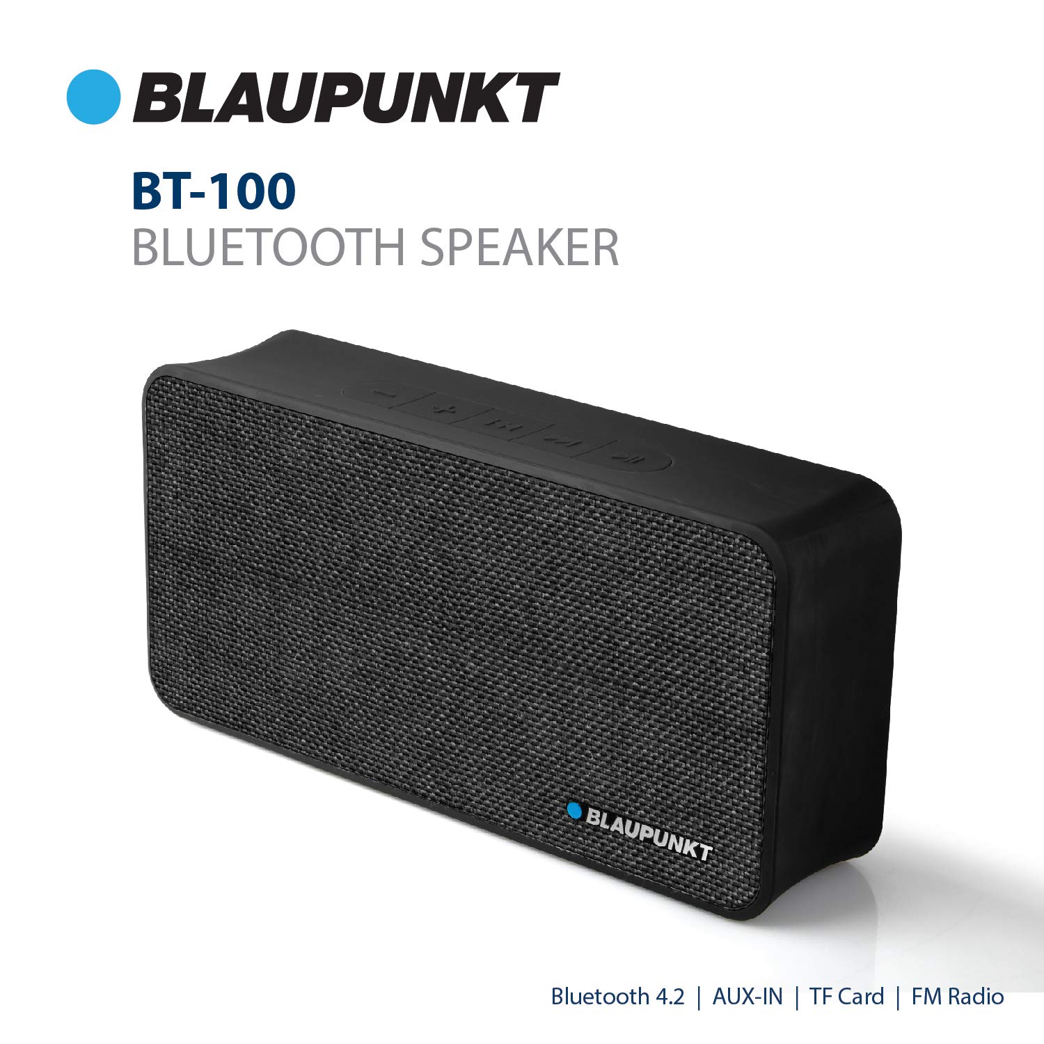blaupunkt outdoor speaker