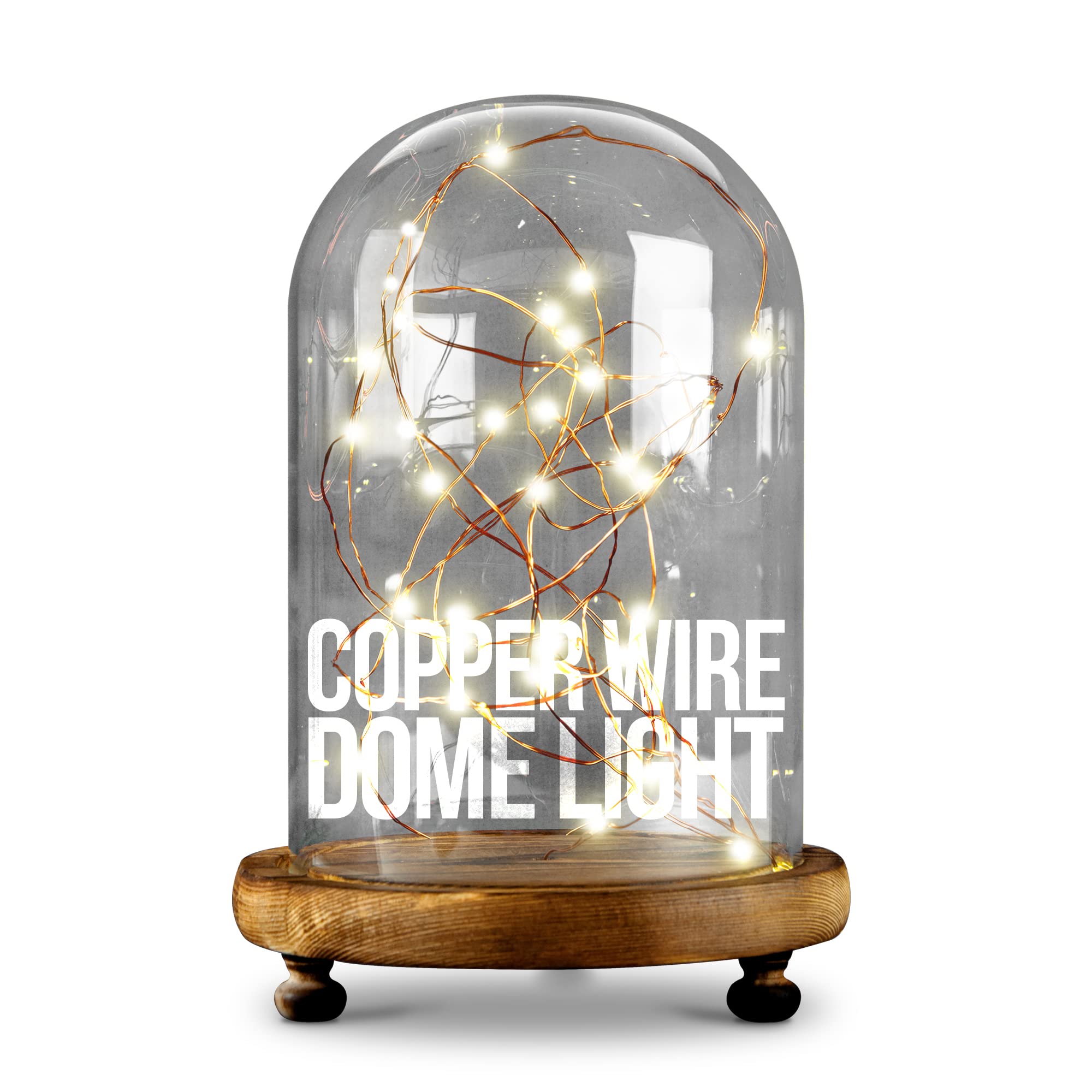 iN Home Copper Wire LED Dome Light with Remote - 30 LED Fairy Lights on 3M Long Copper Wire with Glass Dome and Wooden Base - Perfect Home Decor or Table Centrepiece Decoration