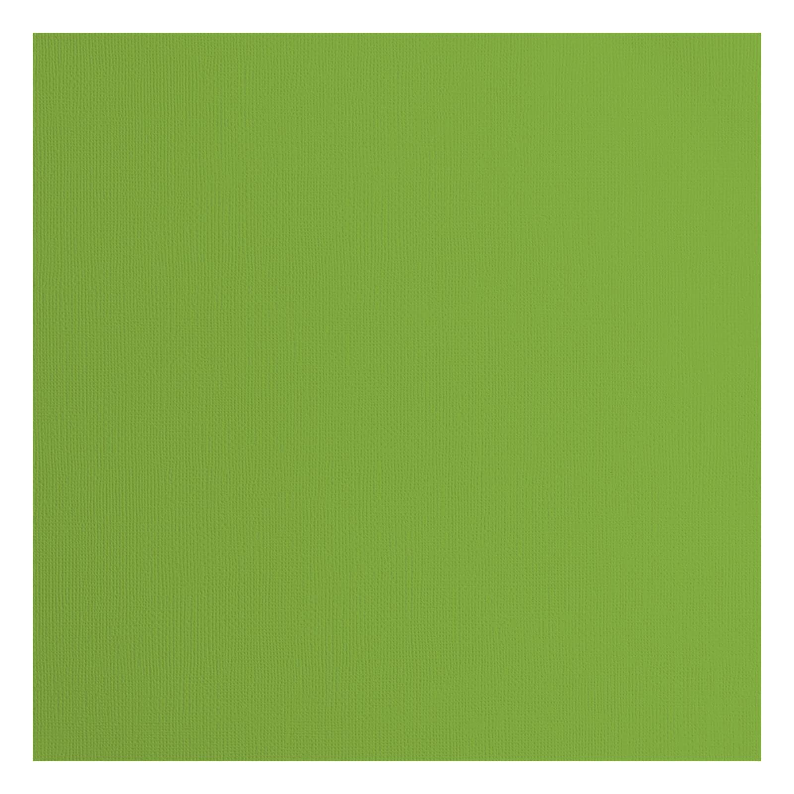 Florence Cardstock Textured - Coloured Card Making Supplies 12 x 12 inch - Green - 20 Sheets - Coloured Paper for Scrapbooking, Card Making, Die Cutting and Paper Crafts - 216 GSM - Frog