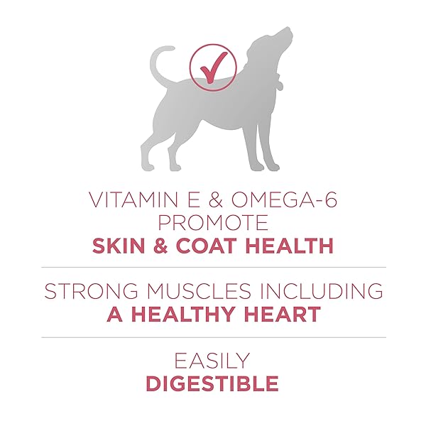 PURINA ONE NATURAL, SENSITIVE STOMACH DRY DOG FOOD, +PLUS SKIN & COAT FORMULA – 16.5 LB. BAG