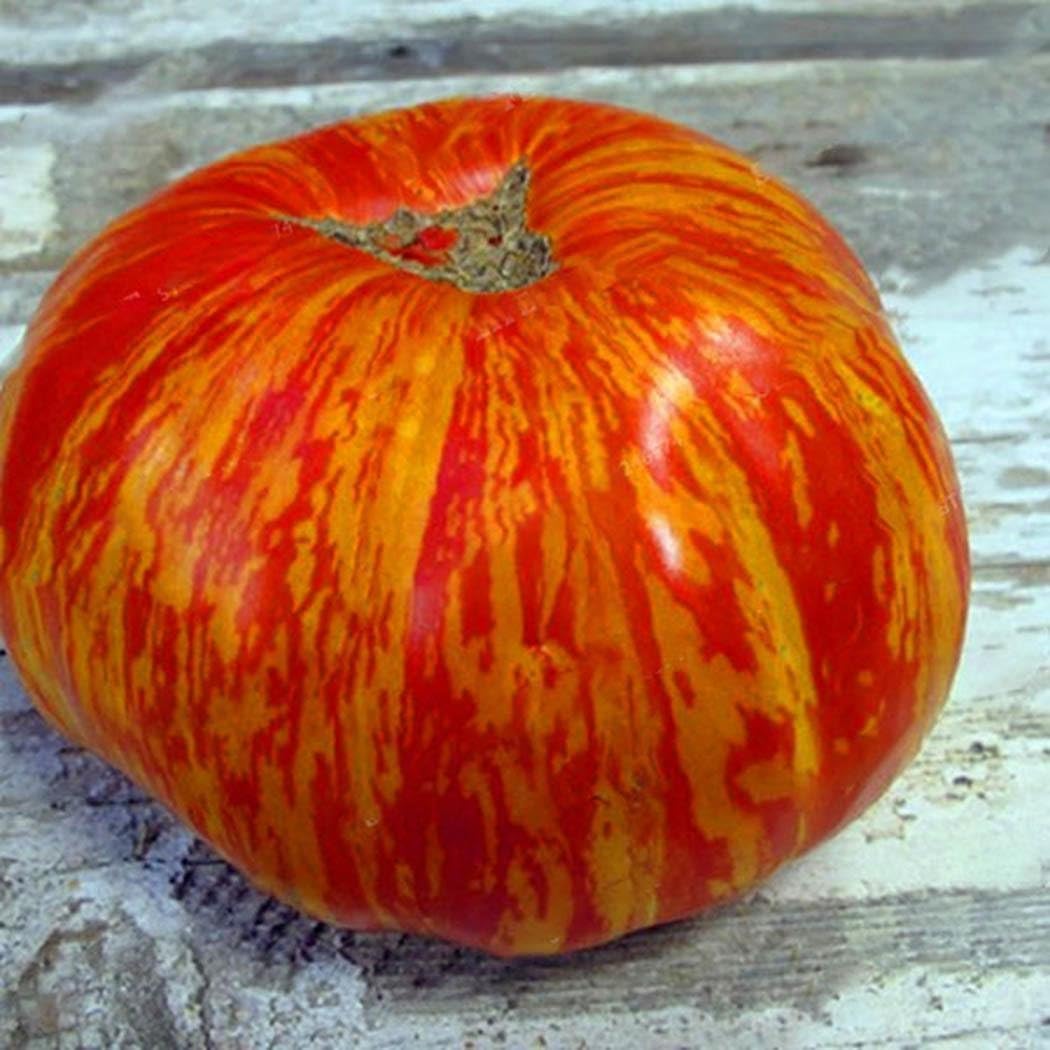 FastDirect Semillas de Tomate Rojo 100 PCS Semillas de Verduras ...