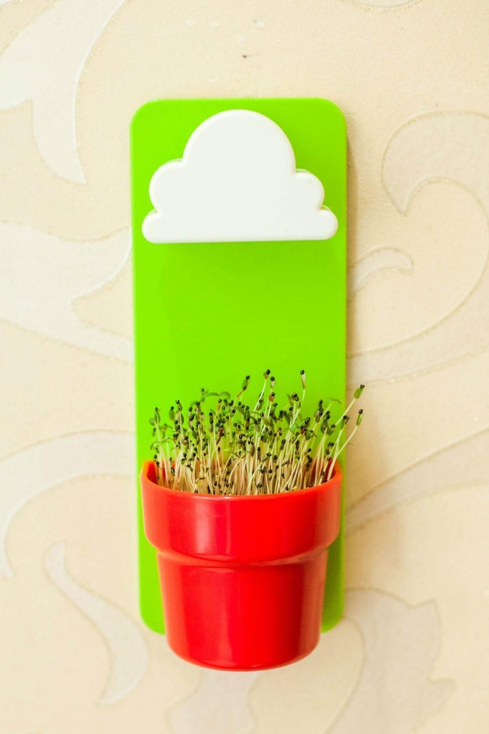 Home Gallery HK Giftpocket New Style Creative Blue Rain Clouds Pots Rainy Pot Wall-mounted Flower Pot Making Your Space Sweeter and Cuter, (Green)