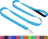 Taglory Dog Leash Small Medium Reflective Soft Neoprene Handle 2cm x 180cm Sky