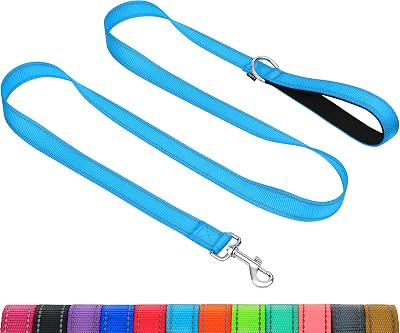 Taglory Dog Leash Small Medium Reflective Soft Neoprene Handle 2cm x 180cm Sky