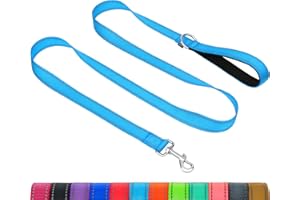 Taglory Dog Leash for Medium Large Dogs | Double-Sided Reflective | Soft Neoprene Padded Handle | 1 inch by 6 ft | Fit Medium Large Breeds Dogs 20-150 lbs | Sky Blue