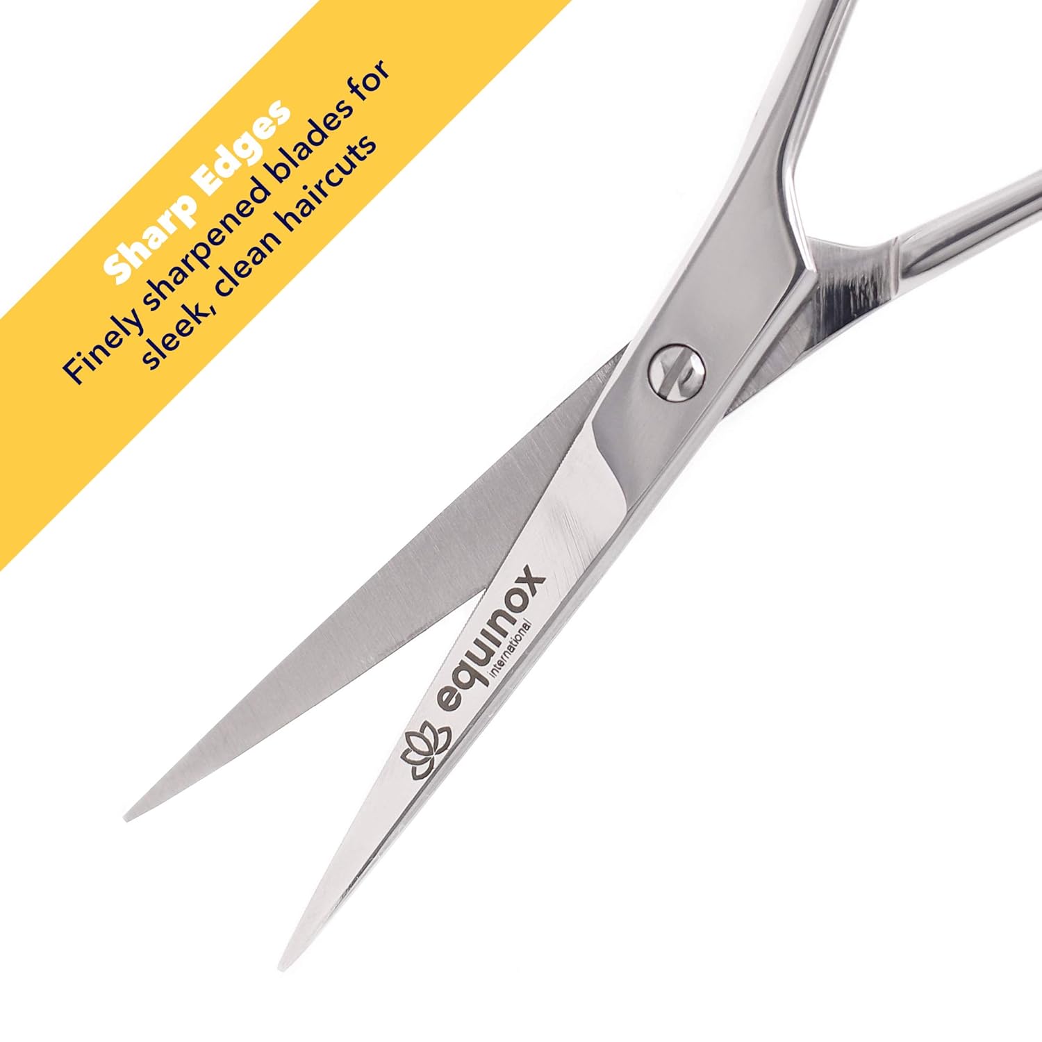 Equinox Professional Shears with Finger Rest and Finger Inserts - Ice Tempered Barber Hair Cutting Scissors - 6.5 Inches - Stainless Steel Rust Resistant Hair Scissors : Beauty