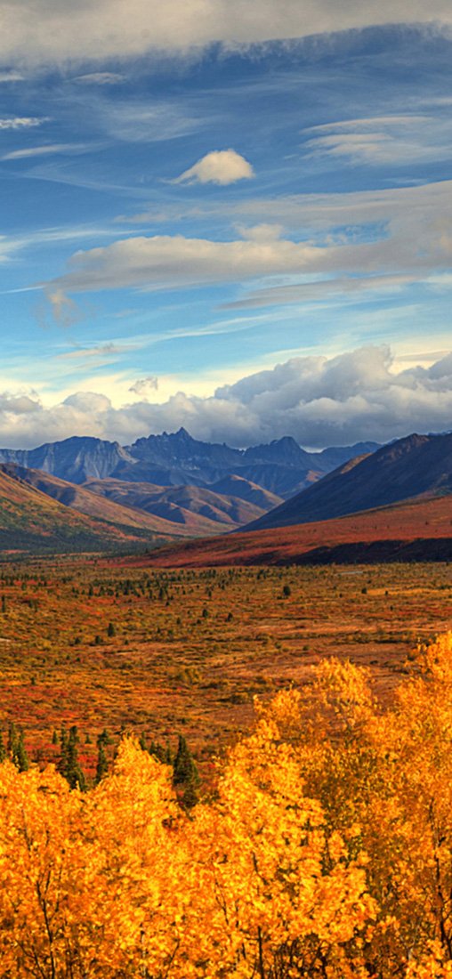 PeelitStickit, Beautiful Nature Wall Murals, ID-2830, vinyl