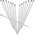 SOGEWO 6" Stainless Steel Cocktail Picks, Reusable Metal Toothpick, Martini Toothpicks for Olives, Fruit Stick Toothpicks, Appetizers Sandwich Fruit Picks (6Inch, Set of 15)
