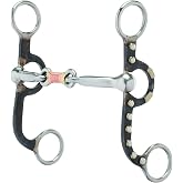 Weaver Leather 25-1860 Professional Argentine Bit with German Silver Trim, Antiqued