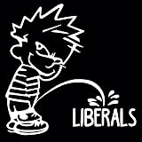 TREASON - Anti-Trump, Anti-GOP Liberal Window/Laptop/Bumper Sticker