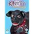 Merlin The Magical Puppy: Merlin Goes Camping And Other Tails [DVD]