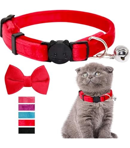 cat bow tie collar amazon