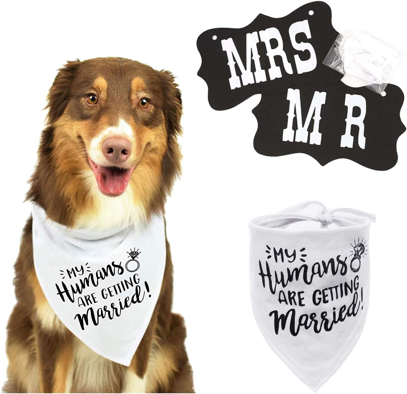 best dog bandana wedding