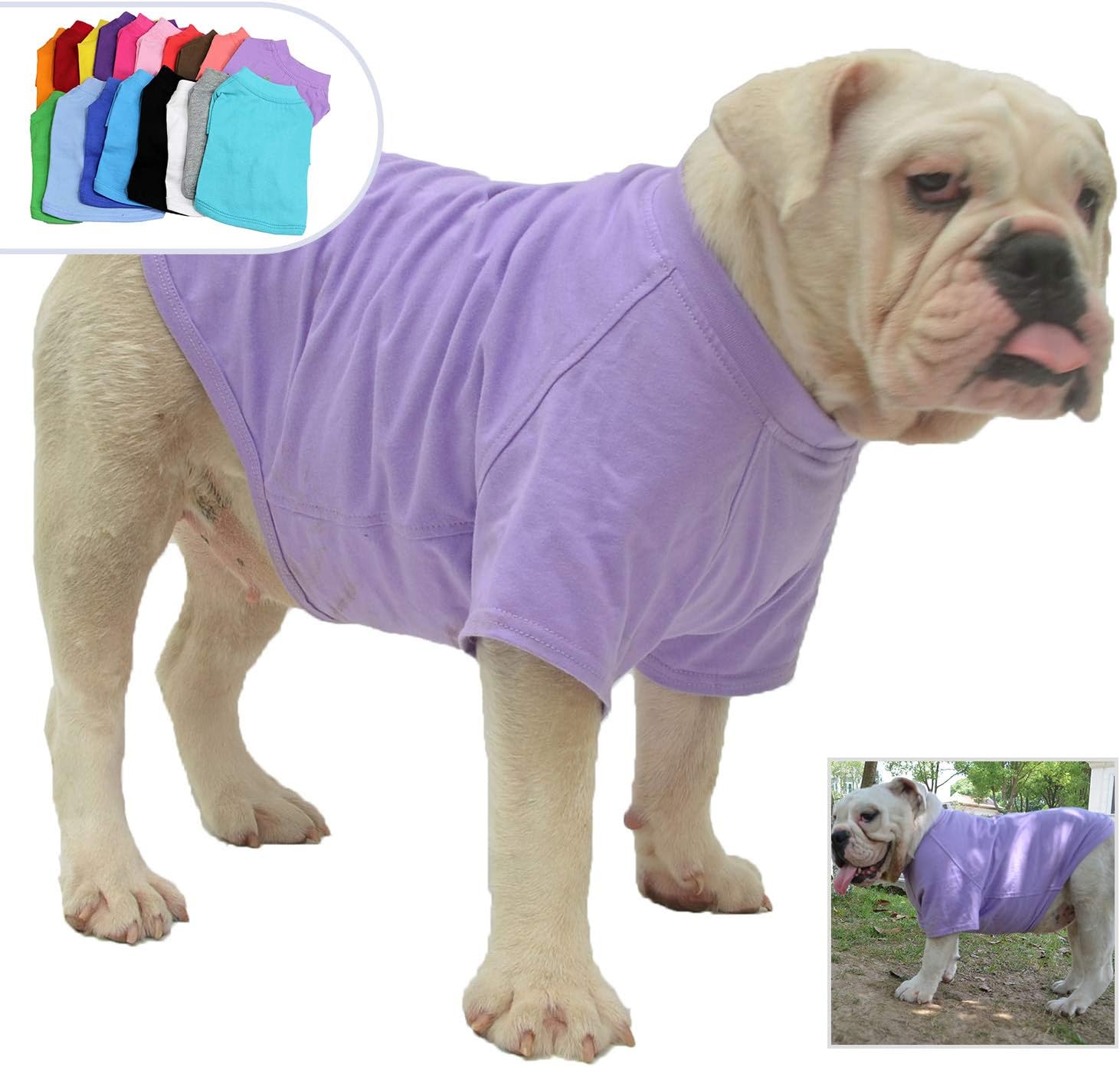 british bulldog clothes for dogs