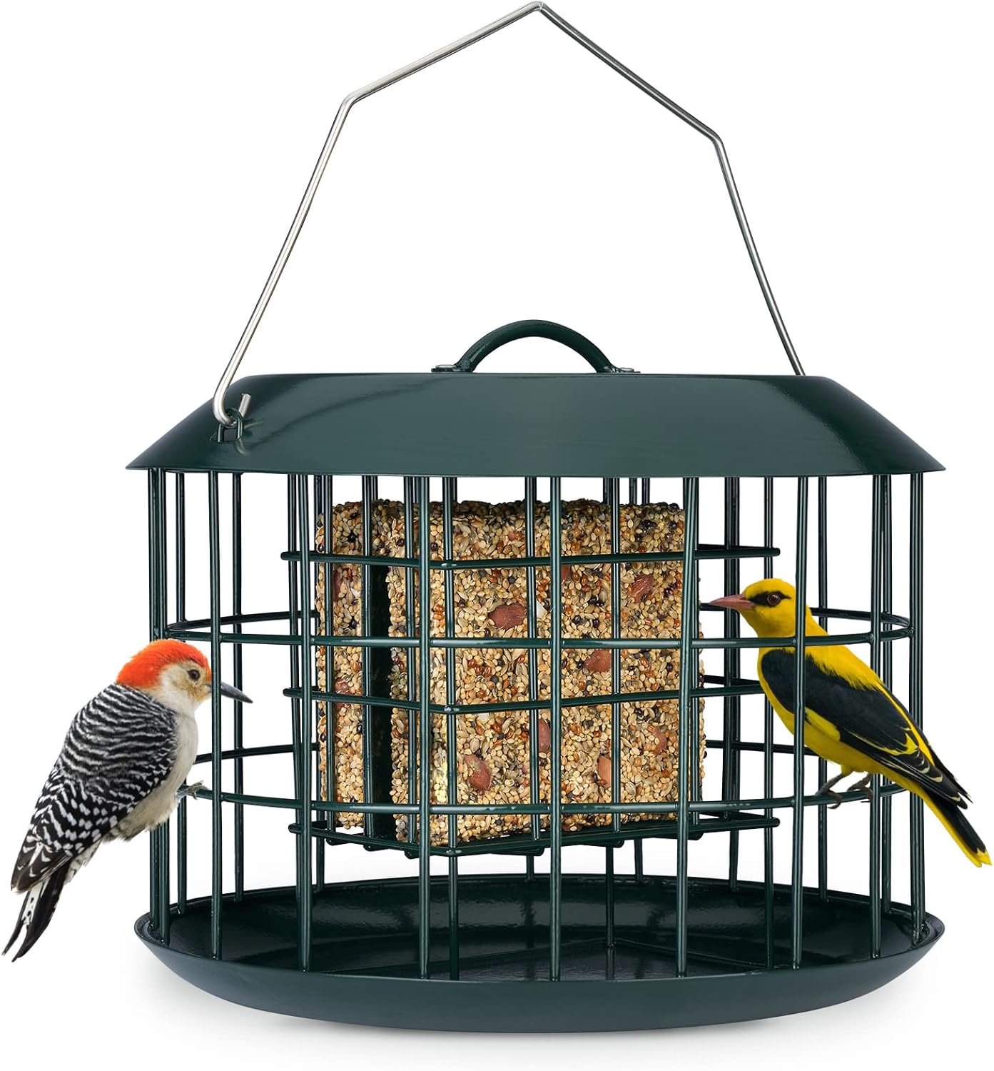 Backyard Birding & Wildlife - Kingsyard Squirrel Proof Suet Feeder, Cage Bird Feeders for Outdoors Hanging, All Metal, Double Suet Cake Capacity, Tray & Weatherproof, Green