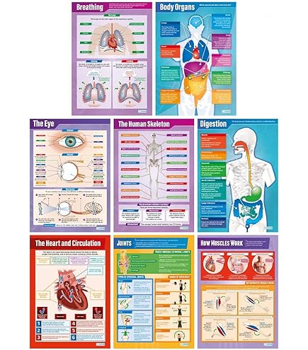 Chemistry Posters For Classroom High School Daydream Education The Electromagnetic Spectrum Poster - EXTRA - Import It All Solfege Poster