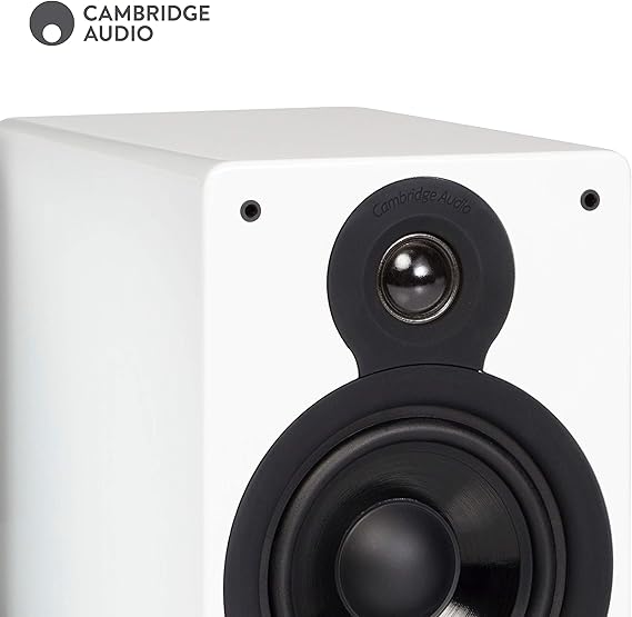 100 watt bookshelf speakers
