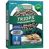 GreenWaterFarm Triops Longicaudatus Eggs for Hatching and Culture Suitable to be Pet and Science Project (Pure 200 Eggs)