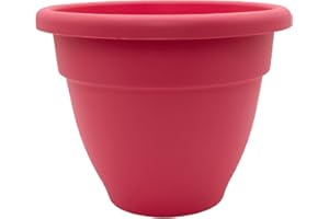 The HC Companies 6 Inch Caribbean Planter - Lightweight Indoor Outdoor Plastic Plant Pot for Herbs and Flowers, Pink Rose