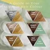 Its Pure Organic Herbal Hair Dye Golden Blonde 110g view 4