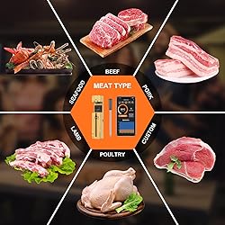 Wireless Meat Thermometer Bluetooth with Ceramics
