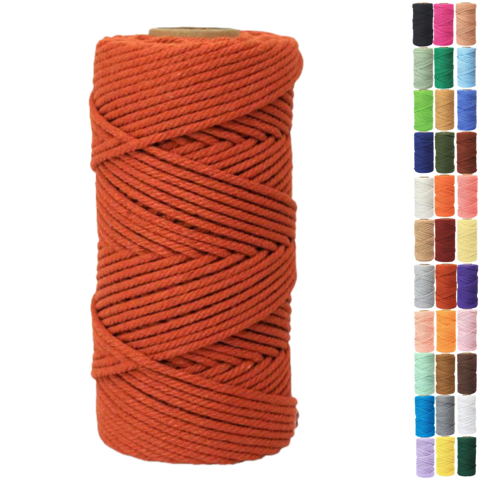 Binwat Macrame Cord Thick Natural Cotton Cord DIY Crafts Yarn Thread Twisted Spool Twine String Cotton Rope for Wall Hanging,Plant Hangers,Knitting,Decorative Projects 4mm x100m (Golden needle red)