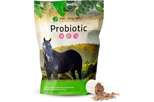 Silver Lining Herbs Horse Probiotics Digestive Supplements - Digestive Enzyme & Gut Health Probiotic Supplement for Horses - Contains 13.2 Billion CFUs Probiotic Strains - 1.25 lb 60-Day Supply