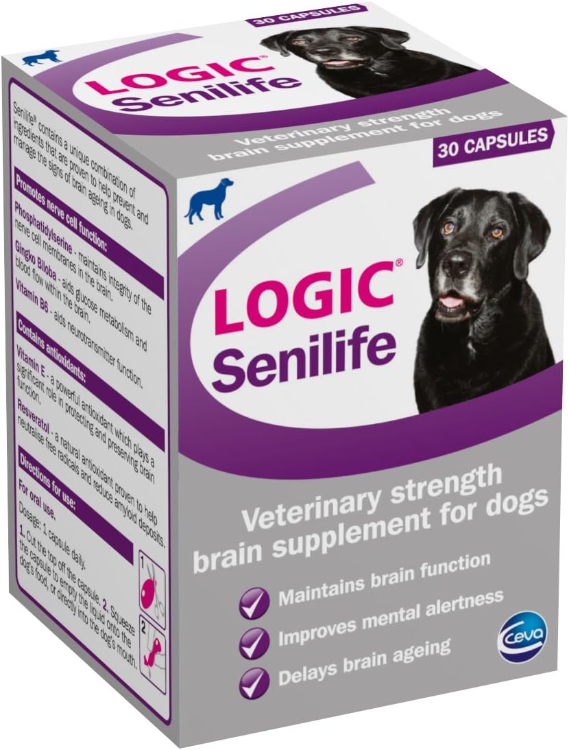 dog head halter australia