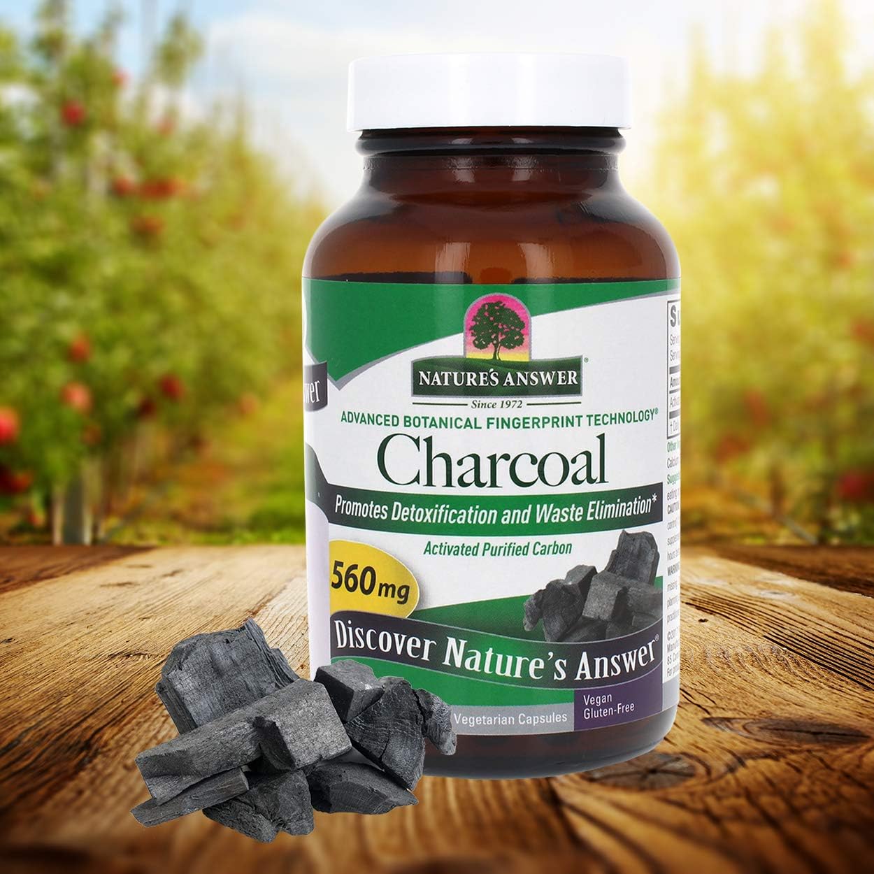 Nature's Answer Activated Charcoal Vegetarian Capsules | Naturally Promotes Detoxification & Waste Elimination | Vegan, Gluten-Free, Alcohol-Free & No Preservatives 90ct.: Health & Personal Care