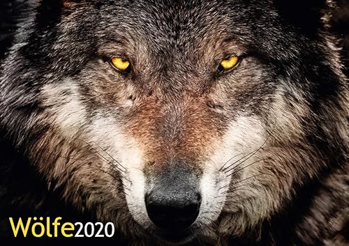 Download Loups calendrier 2020 PDF