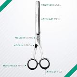 Focus World Hairdressing Scissors Set 6.5 Inches FW-SET-01 Japanese Stainless view 3