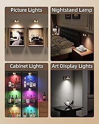 EZVALO Picture Lights for Wall with Charging