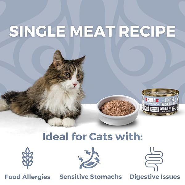 KOHA LIMITED INGREDIENT DIET RABBIT PATE FOR CATS – SINGLE MEAT WET CAT FOOD FOR SENSITIVE STOMACHS – *NEW BATCH JANUARY 2025, IMPROVED, SMOOTH TEXTURE* – PATE CAT FOOD, NO FILLERS – 5.5OZ PACK OF 24