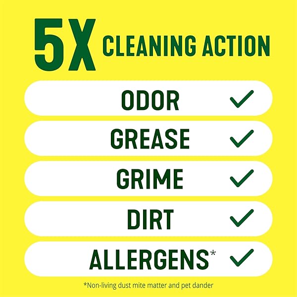 PINE-SOL MULTI-SURFACE CLEANER, ORIGINAL, 20 FLUID OUNCES