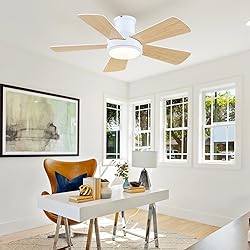 Ceiling Fans with Lights,Modern Low Profile Ceiling