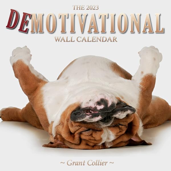 The 2023 Demotivational Wall Calendar (A Funny, Uninspirational, and  Humorous 12"x12" Calendar): Grant Collier: 9781935694632: Amazon.com: Books