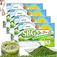 SBG Salveo Barley Grass, Salveo Barley Grass Powder, SBG ON The GO, 100% Pure Salveo Well Organic Barley Grass Juice Powder, Brought to Your Pure Health, Excrete Body Waste in Just 2 Weeks(4boxs)