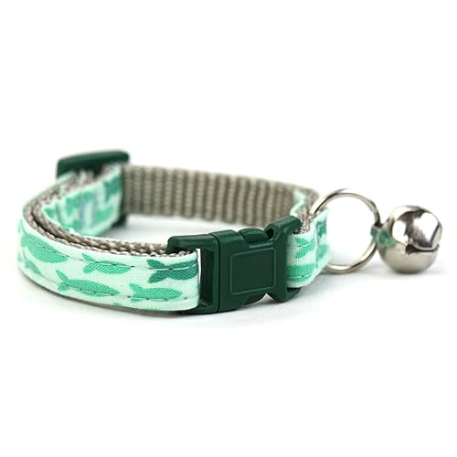 bobcat mixed with house cat