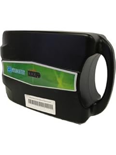 phylion battery price