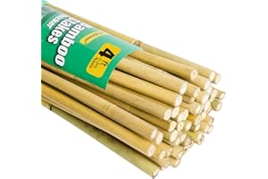 Jollybower 50pcs 1/2" D Thicker Heavy Duty Bamboo Stakes, 4FT Plant Stakes, Natural Garden Stakes for Tomato, Bean, Flowers,T