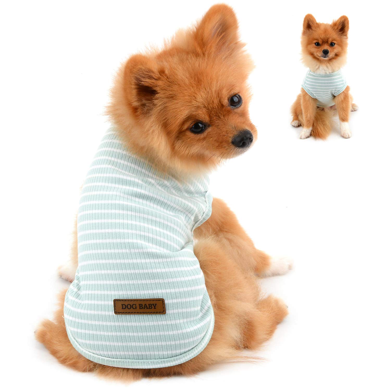 PAIDEFUL Clothes for Small Dogs Boy Girl Summer Striped Puppy T Shirt Vest Breathable Cotton Tee Sleeveless Chihuahua Yorkshire,Green,Size XXL